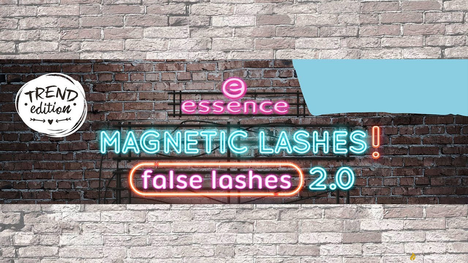 essence magnetic lashes