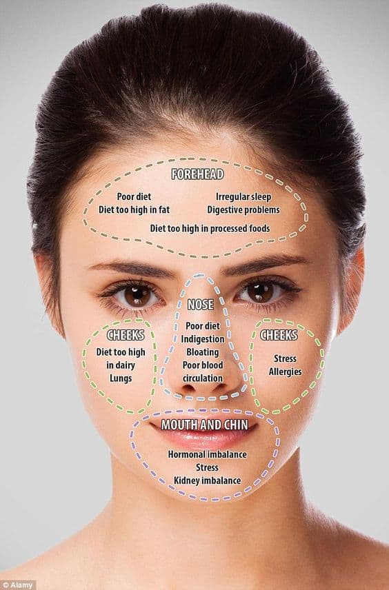  The Chinese Face Map reveals the problems you have in your body