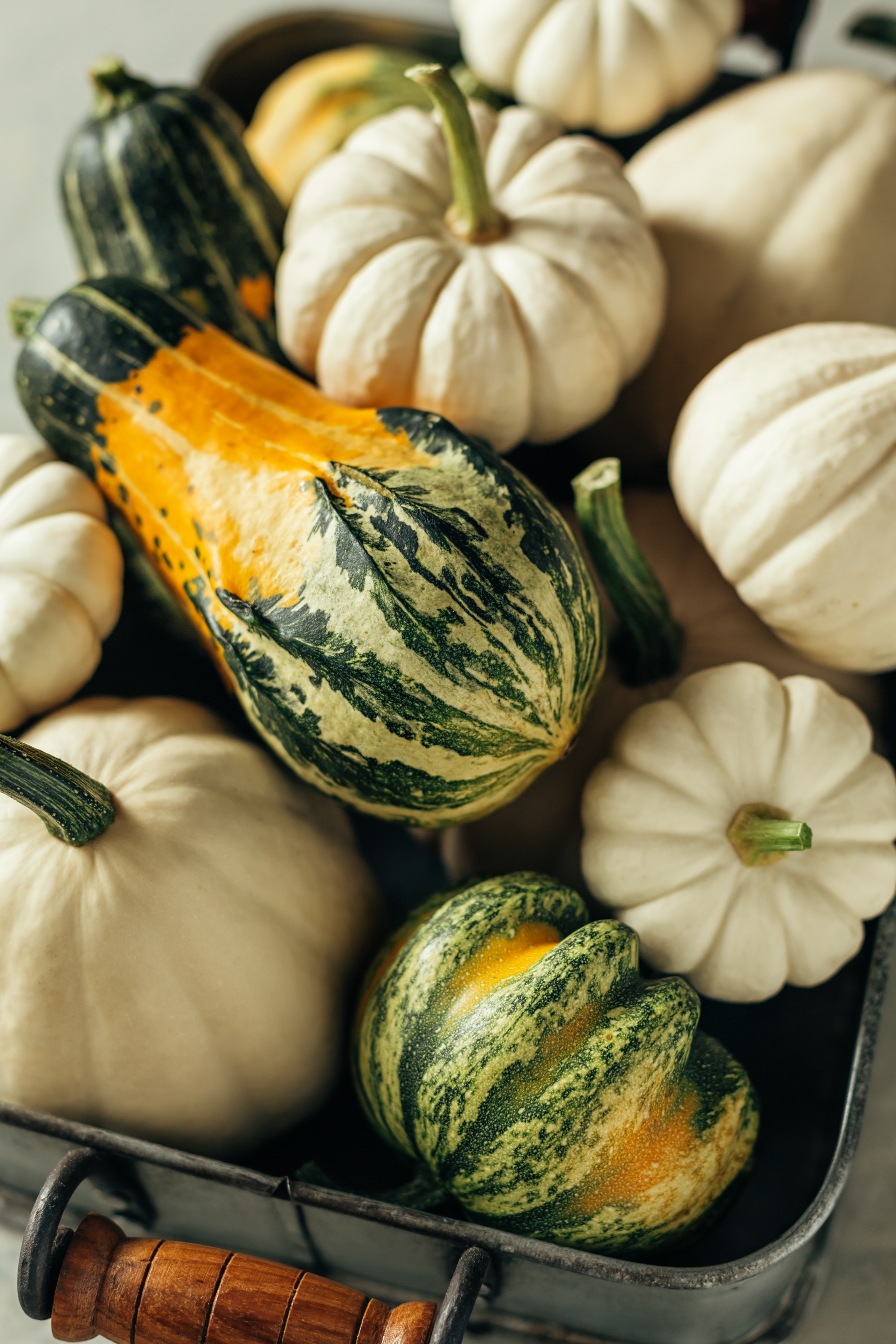  These are the seasonal foods you have to consume this fall